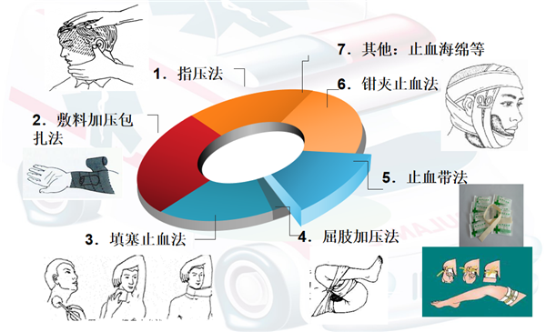 原則和基本技術,指導現場的同學們一般止血的方法,對指壓止血法操作