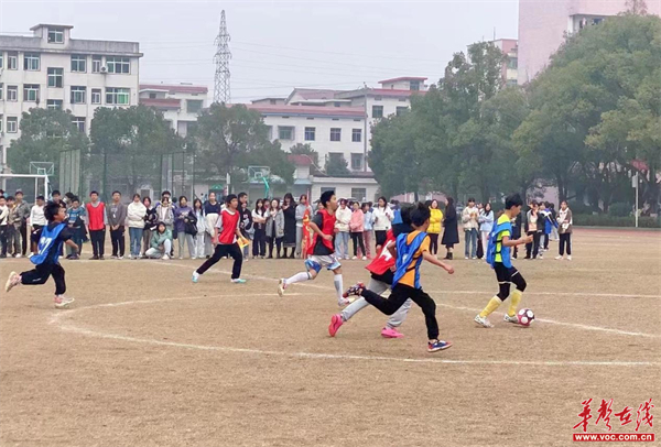 鲤鱼江中学刘茂盛图片